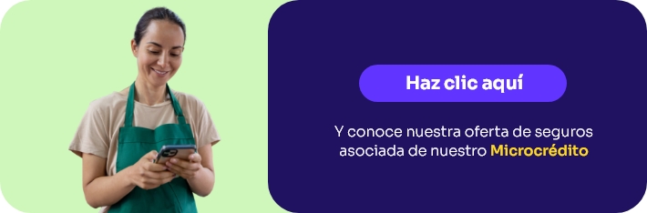 Seguros micro