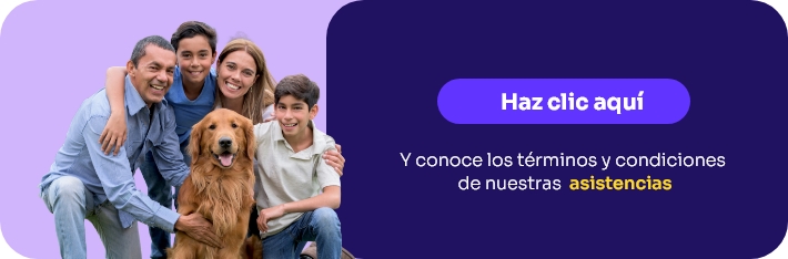 Seguros micro